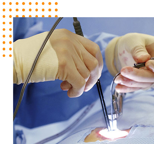 Endoscopic Procedures – Cranial & Spinal Endoscopic Procedures – Cranial & Spinal