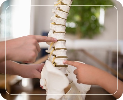 Lumbar Disc Surgeon  overview