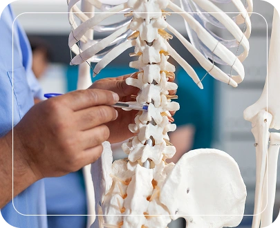 For Thoracic Spine For Thoracic Spine