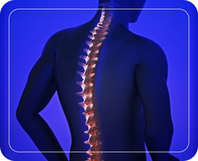 Types of Spinal Cord Injuries Types of Spinal Cord Injuries