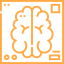 Advanced brain imaging