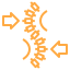 Visible spine curve when bending forward-icon