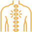 Visible spinal curvature-icon