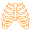 prominent rib hump-img