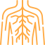 Pain radiating along a nerve pathway | Dr Rohit Mishra